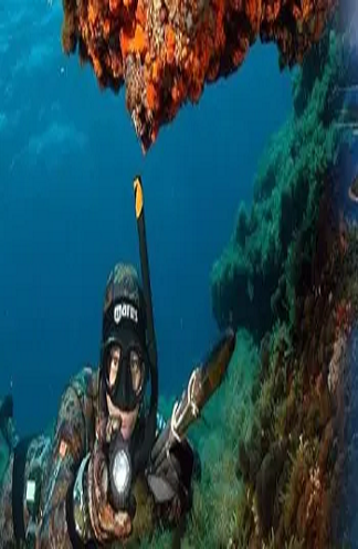  CAZA SUBMARINA